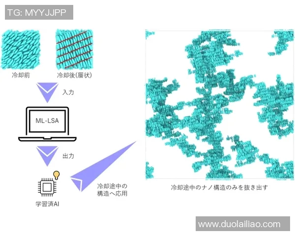 足球星形网与网状网结构差异及应用分析